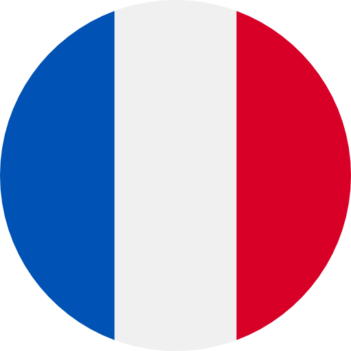 France Flag